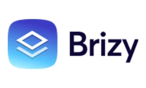 Brizy